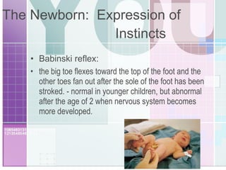 The Newborn:  Expression of  Instincts Babinski reflex:  the big toe flexes toward the top of the foot and the other toes fan out after the sole of the foot has been stroked. - normal in younger children, but abnormal after the age of 2 when nervous system becomes more developed. 
