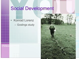 Social Development Konrad Lorenz Goslings study 