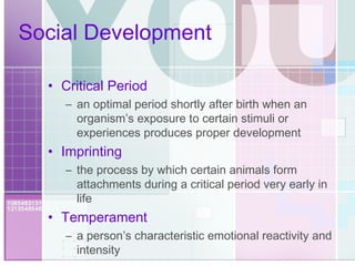 Social Development Critical Period an optimal period shortly after birth when an organism’s exposure to certain stimuli or experiences produces proper development Imprinting the process by which certain animals form attachments during a critical period very early in life Temperament a person’s characteristic emotional reactivity and intensity 