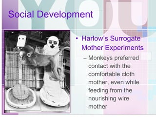 Social Development Harlow’s Surrogate Mother Experiments Monkeys preferred contact with the comfortable cloth mother, even while feeding from the nourishing wire mother 