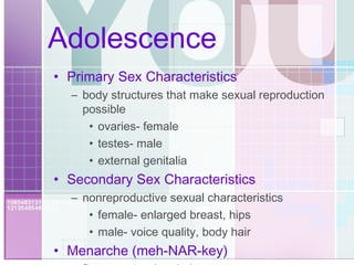 Adolescence Primary Sex Characteristics body structures that make sexual reproduction possible ovaries- female testes- male external genitalia Secondary Sex Characteristics nonreproductive sexual characteristics female- enlarged breast, hips male- voice quality, body hair Menarche   (meh-NAR-key) first menstrual period 