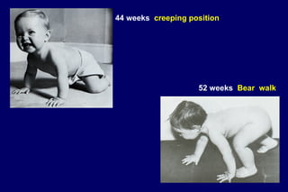 44 weeks creeping position
52 weeks Bear walk
 