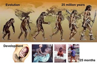 25 million yearsEvolution
Development
25 months
 