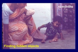 10 months
Finding hidden objects
 