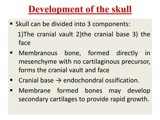 Development of face, palate and jaw | PPTX