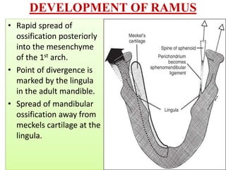 Development of Paranasal Sinuses
• Paranasal sinuses appear as diverticula from nasal
cavity.
• The diverticula gradually ...