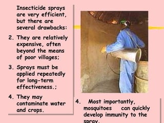 Insecticide sprays are very efficient, but there are several drawbacks: They are relatively expensive, often beyond the means of poor villages; Sprays must be applied repeatedly for long-term effectiveness.; They may contaminate water and crops. 4.  Most importantly, mosquitoes  can quickly develop immunity to the spray. 
