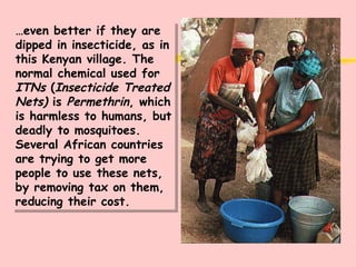 … even better if they are dipped in insecticide, as in this Kenyan village. The normal chemical used for  ITNs  ( Insecticide Treated Nets)  is  Permethrin , which is harmless to humans, but deadly to mosquitoes. Several African countries are trying to get more people to use these nets, by removing tax on them, reducing their cost. 