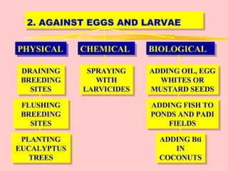 2. AGAINST EGGS AND LARVAE PHYSICAL CHEMICAL BIOLOGICAL DRAINING BREEDING SITES FLUSHING BREEDING SITES PLANTING EUCALYPTUS TREES SPRAYING WITH LARVICIDES ADDING OIL, EGG WHITES OR MUSTARD SEEDS ADDING FISH TO PONDS AND PADI FIELDS ADDING Bti IN COCONUTS 