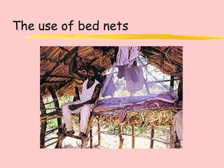The use of bed nets 