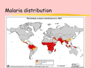 Malaria distribution 