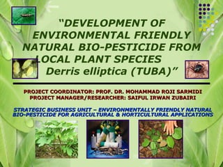 “ DEVELOPMENT OF ENVIRONMENTAL FRIENDLY NATURAL BIO-PESTICIDE FROM LOCAL PLANT SPECIES  Derris elliptica (TUBA)” PROJECT COORDINATOR: PROF. DR. MOHAMMAD ROJI SARMIDI PROJECT MANAGER/RESEARCHER: SAIFUL IRWAN ZUBAIRI STRATEGIC BUSINESS UNIT – ENVIRONMENTALLY FRIENDLY NATURAL BIO-PESTICIDE FOR AGRICULTURAL & HORTICULTURAL APPLICATIONS 