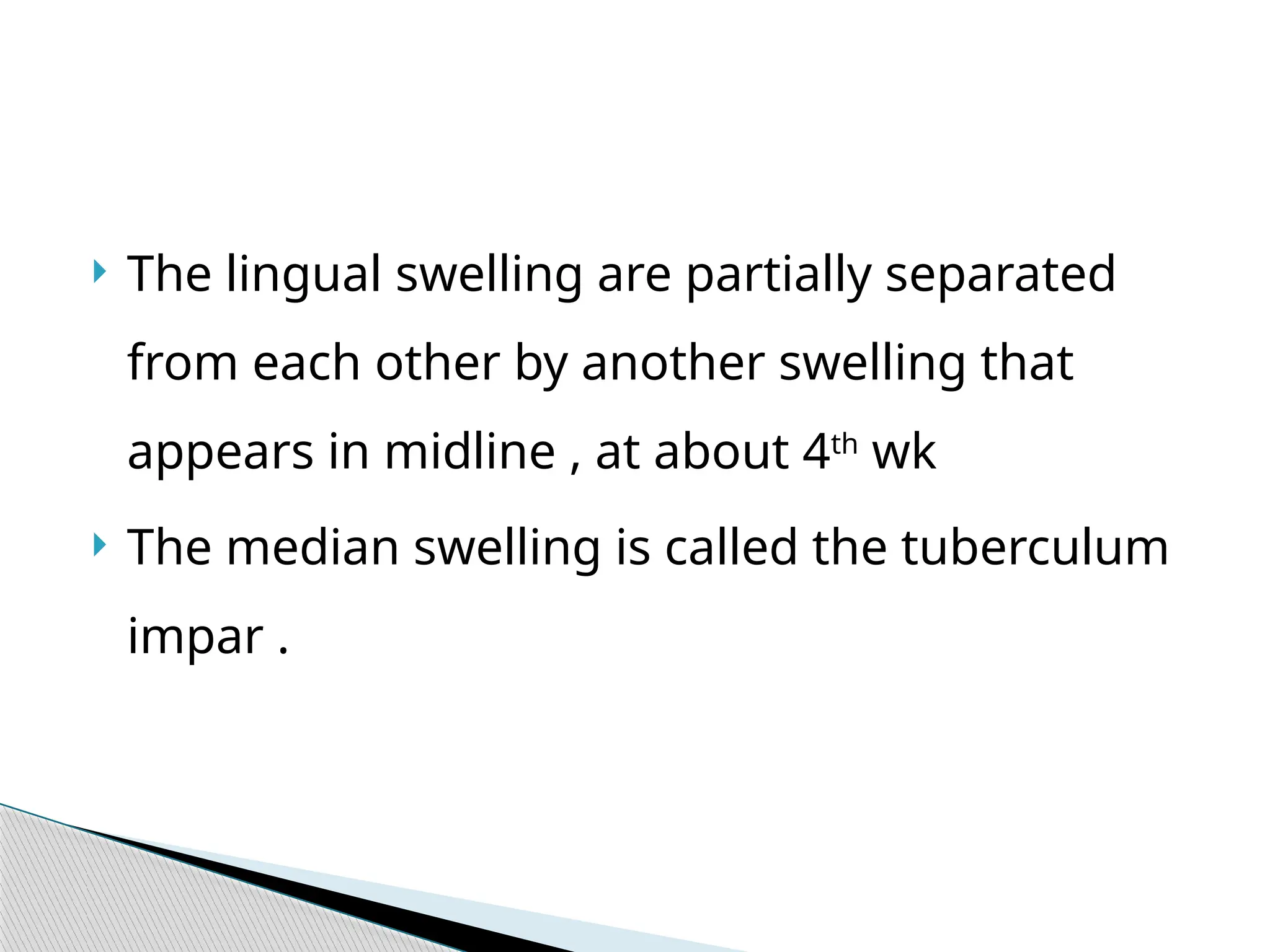  The lingual swelling are partially separated
from each other by another swelling that
appears in midline , at about 4th
wk
 The median swelling is called the tuberculum
impar .
 
