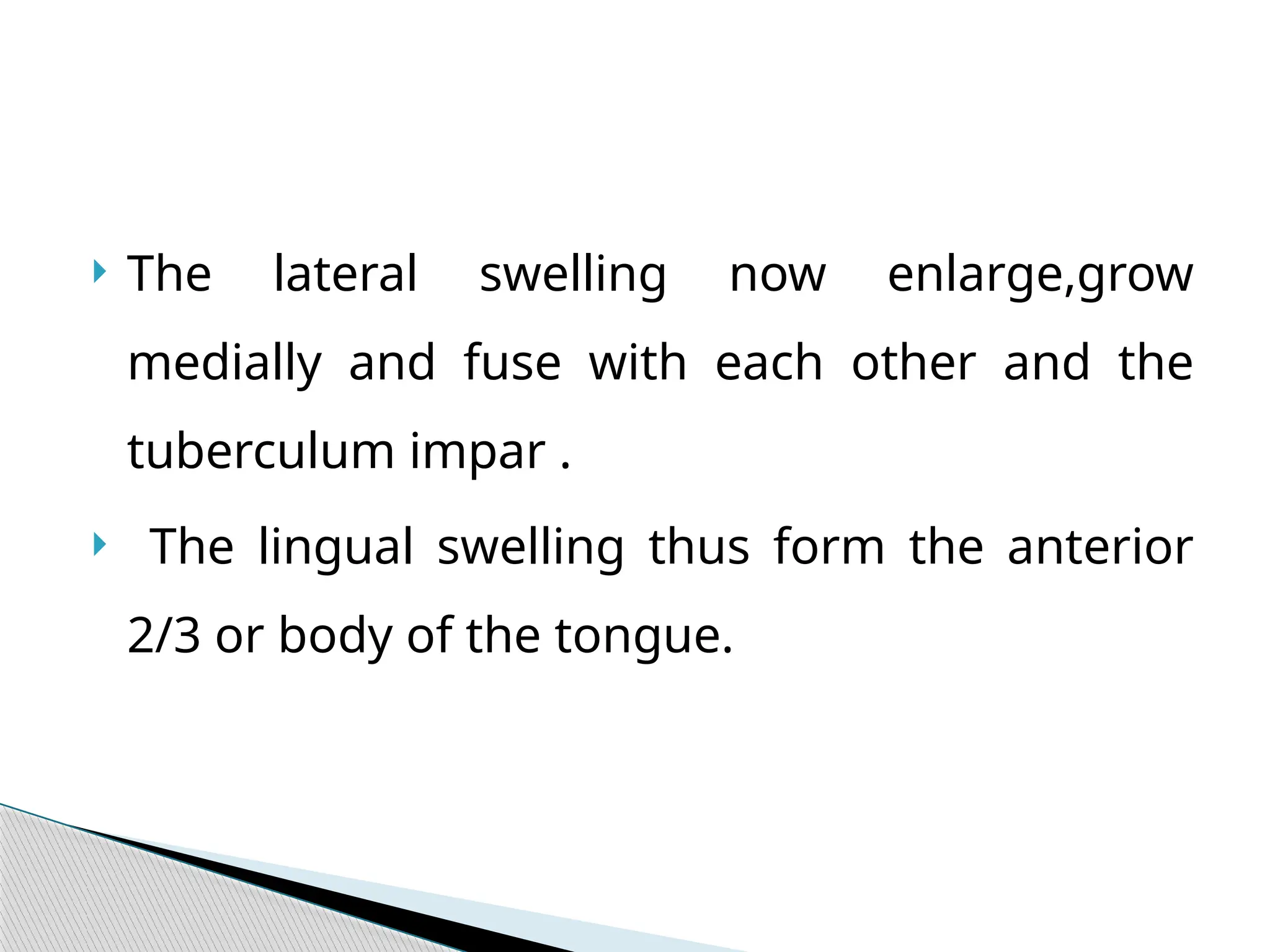  The lateral swelling now enlarge,grow
medially and fuse with each other and the
tuberculum impar .
 The lingual swelling thus form the anterior
2/3 or body of the tongue.
 