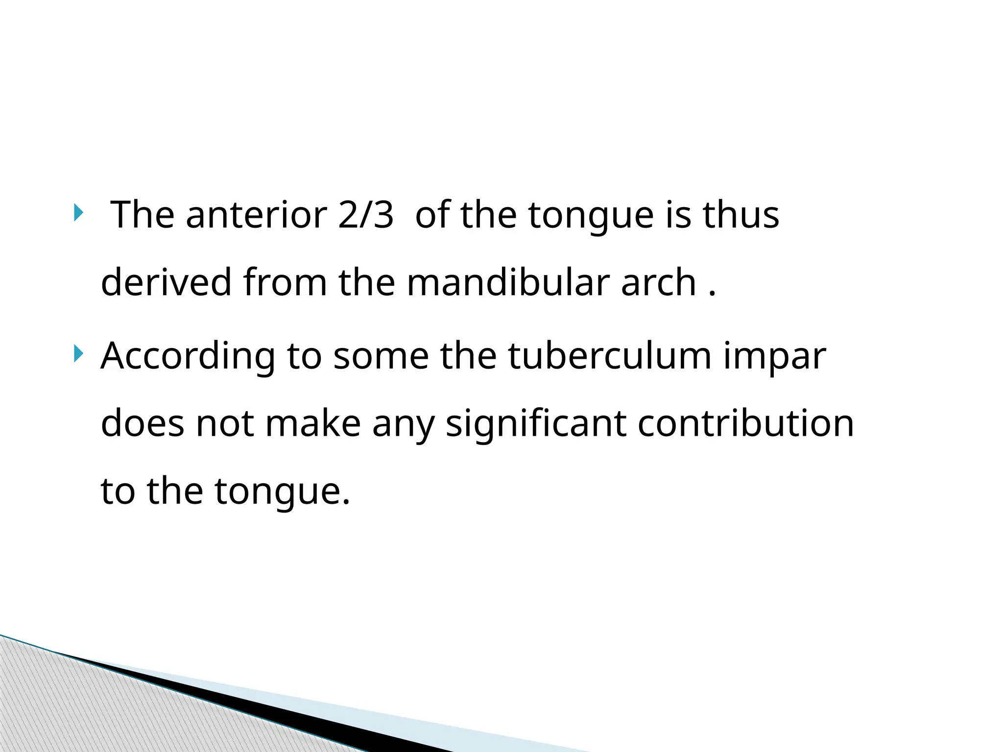  The anterior 2/3 of the tongue is thus
derived from the mandibular arch .
 According to some the tuberculum impar
does not make any significant contribution
to the tongue.
 