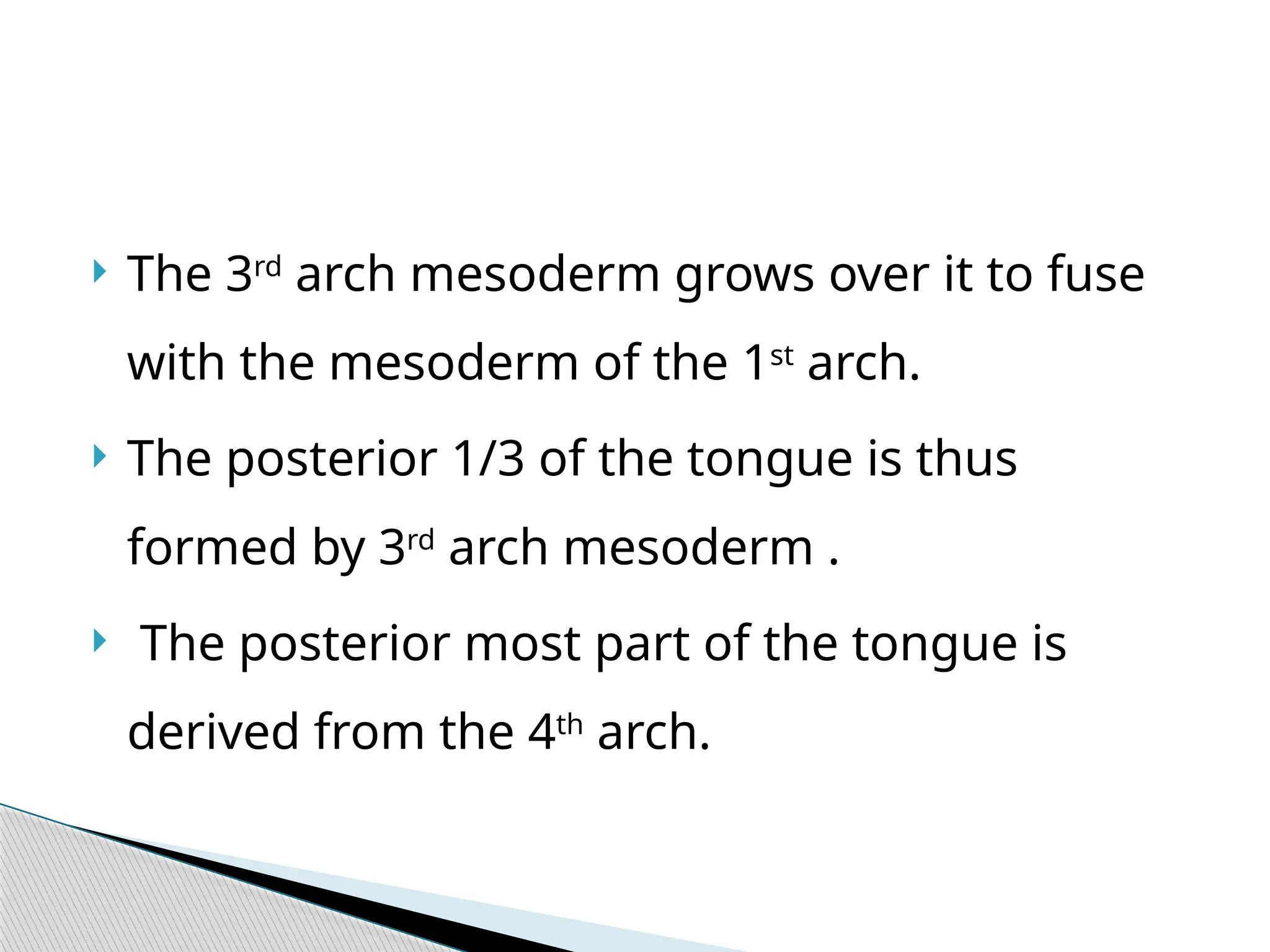  The 3rd
arch mesoderm grows over it to fuse
with the mesoderm of the 1st
arch.
 The posterior 1/3 of the tongue is thus
formed by 3rd
arch mesoderm .
 The posterior most part of the tongue is
derived from the 4th
arch.
 