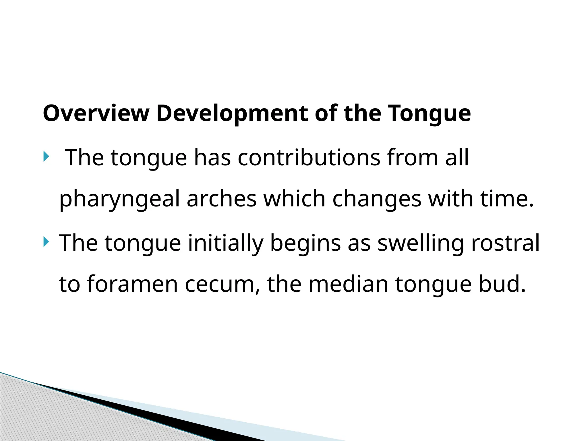 Overview Development of the Tongue
 The tongue has contributions from all
pharyngeal arches which changes with time.
 The tongue initially begins as swelling rostral
to foramen cecum, the median tongue bud.
 