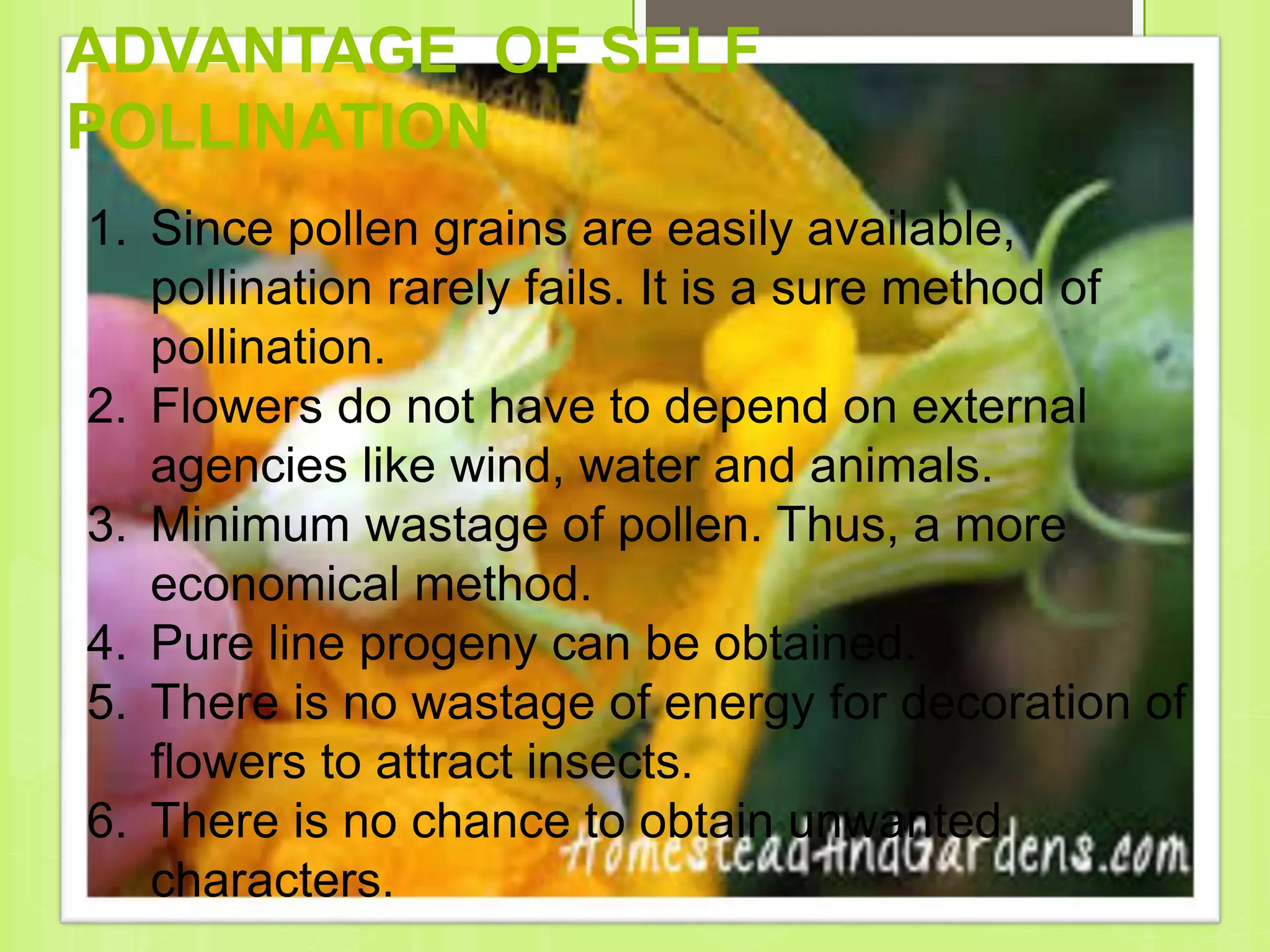 ADVANTAGE OF SELF
POLLINATION
1. Since pollen grains are easily available,
pollination rarely fails. It is a sure method of
pollination.
2. Flowers do not have to depend on external
agencies like wind, water and animals.
3. Minimum wastage of pollen. Thus, a more
economical method.
4. Pure line progeny can be obtained.
5. There is no wastage of energy for decoration of
flowers to attract insects.
6. There is no chance to obtain unwanted
characters.
 