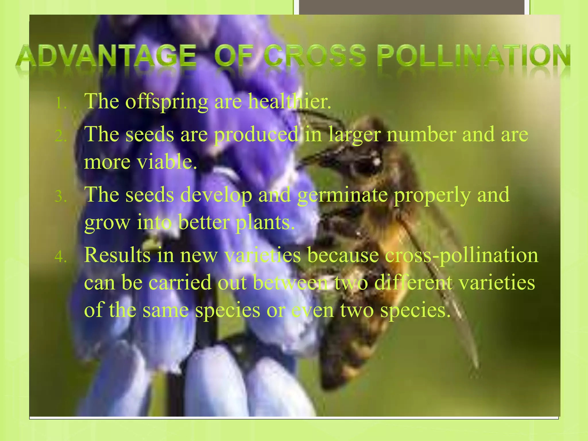 1. The offspring are healthier.
2. The seeds are produced in larger number and are
more viable.
3. The seeds develop and germinate properly and
grow into better plants.
4. Results in new varieties because cross-pollination
can be carried out between two different varieties
of the same species or even two species.
 