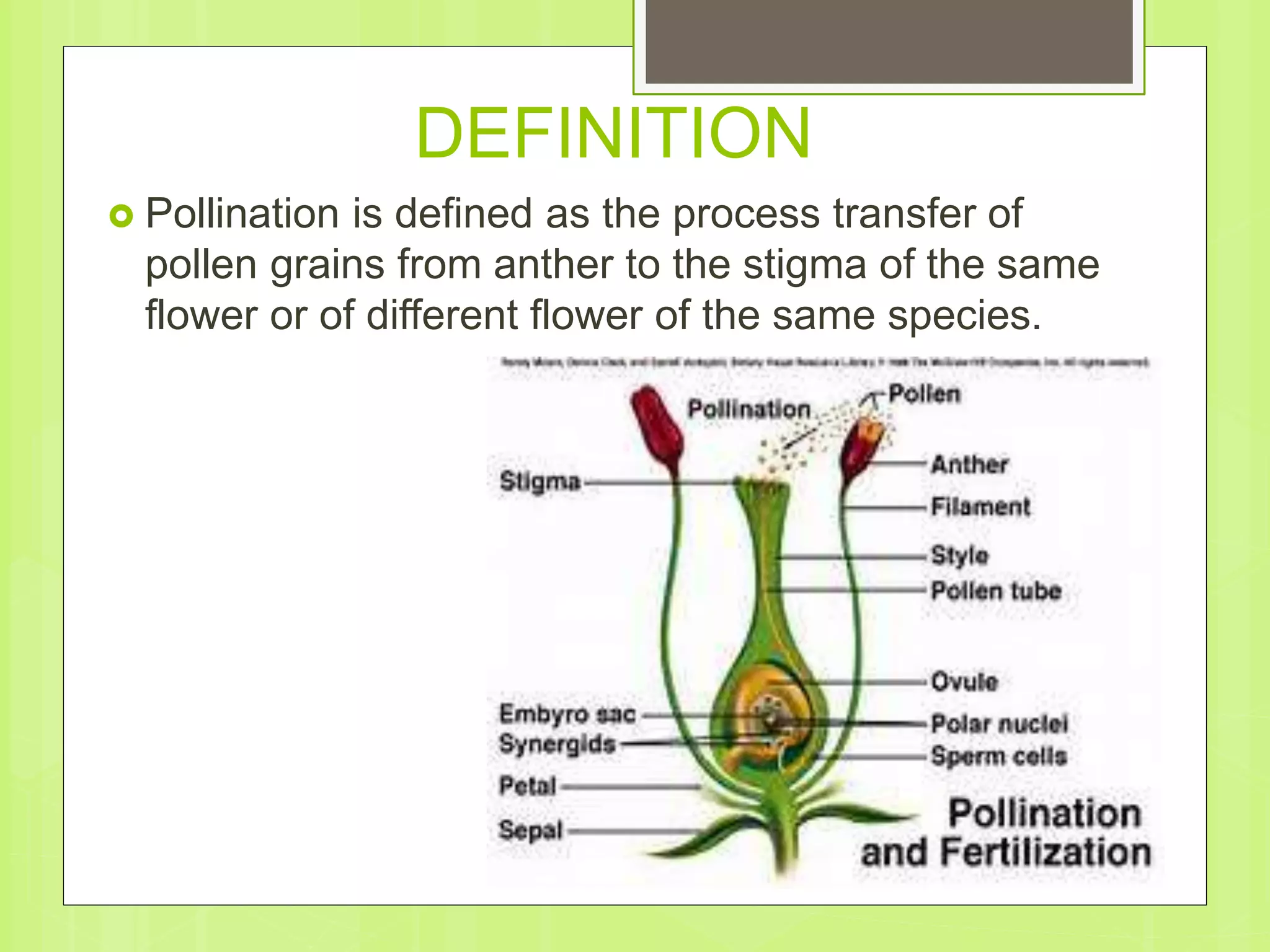DEFINITION
 Pollination is defined as the process transfer of
pollen grains from anther to the stigma of the same
flower or of different flower of the same species.
 