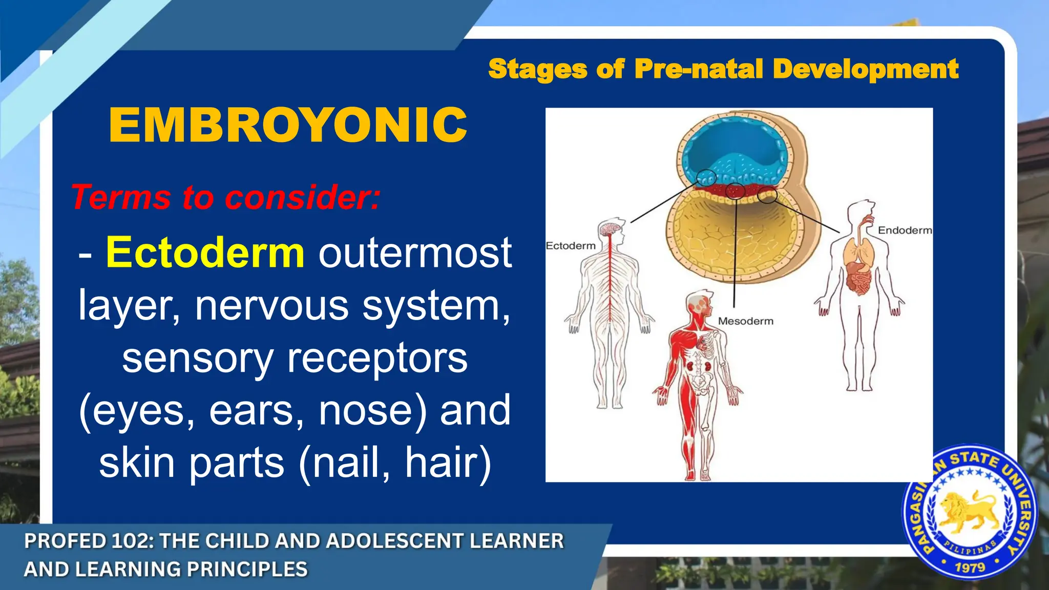 DEVELOPMENTAL-THEORIES-INFANCY-TODDLERHOOD-AND-EARLY-CHILDHOOD.pptx.pdf