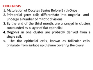 OOGENESIS
1. Maturation of Oocytes Begins Before Birth Once
2. Primordial germ cells differentiate into oogonia and
undergo a number of mitotic divisions
3. By the end of the third month, are arranged in clusters
surrounded by a layer of ﬂat epithelial
4. Oogonia in one cluster are probably derived from a
single cell.
5. The ﬂat epithelial cells, known as follicular cells,
originate from surface epithelium covering the ovary.
 