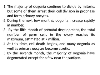 1. The majority of oogonia continue to divide by mitosis,
but some of them arrest their cell division in prophase
and form primary oocytes.
2. During the next few months, oogonia increase rapidly
in number.
3. By the ﬁfth month of prenatal development, the total
number of germ cells in the ovary reaches its
maximum, estimated at 7 million.
4. At this time, cell death begins, and many oogonia as
well as primary oocytes become atretic.
5. By the seventh month, the majority of oogonia have
degenerated except for a few near the surface.
 