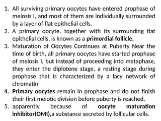 1. All surviving primary oocytes have entered prophase of
meiosis I, and most of them are individually surrounded
by a layer of ﬂat epithelial cells.
2. A primary oocyte, together with its surrounding ﬂat
epithelial cells, is known as a primordial follicle.
3. Maturation of Oocytes Continues at Puberty Near the
time of birth, all primary oocytes have started prophase
of meiosis I, but instead of proceeding into metaphase,
they enter the diplotene stage, a resting stage during
prophase that is characterized by a lacy network of
chromatin
4. Primary oocytes remain in prophase and do not ﬁnish
their ﬁrst meiotic division before puberty is reached,
5. apparently because of oocyte maturation
inhibitor(OMI),a substance secreted by follicular cells.
 