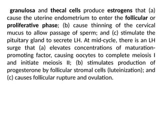 granulosa and thecal cells produce estrogens that (a)
cause the uterine endometrium to enter the follicular or
proliferative phase; (b) cause thinning of the cervical
mucus to allow passage of sperm; and (c) stimulate the
pituitary gland to secrete LH. At mid-cycle, there is an LH
surge that (a) elevates concentrations of maturation-
promoting factor, causing oocytes to complete meiosis I
and initiate meiosis II; (b) stimulates production of
progesterone by follicular stromal cells (luteinization); and
(c) causes follicular rupture and ovulation.
 