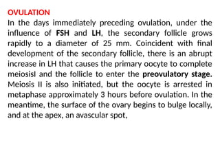 OVULATION
In the days immediately preceding ovulation, under the
inﬂuence of FSH and LH, the secondary follicle grows
rapidly to a diameter of 25 mm. Coincident with ﬁnal
development of the secondary follicle, there is an abrupt
increase in LH that causes the primary oocyte to complete
meiosisI and the follicle to enter the preovulatory stage.
Meiosis II is also initiated, but the oocyte is arrested in
metaphase approximately 3 hours before ovulation. In the
meantime, the surface of the ovary begins to bulge locally,
and at the apex, an avascular spot,
 
