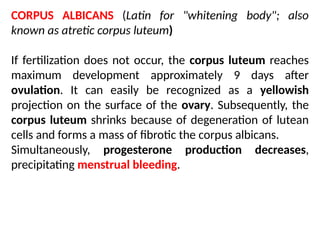 CORPUS ALBICANS (Latin for "whitening body"; also
known as atretic corpus luteum)
If fertilization does not occur, the corpus luteum reaches
maximum development approximately 9 days after
ovulation. It can easily be recognized as a yellowish
projection on the surface of the ovary. Subsequently, the
corpus luteum shrinks because of degeneration of lutean
cells and forms a mass of ﬁbrotic the corpus albicans.
Simultaneously, progesterone production decreases,
precipitating menstrual bleeding.
 