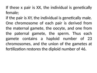 If these x pair is XX, the individual is genetically
female;
if the pair is XY, the individual is genetically male.
One chromosome of each pair is derived from
the maternal gamete, the oocyte, and one from
the paternal gamete, the sperm. Thus each
gamete contains a haploid number of 23
chromosomes, and the union of the gametes at
fertilization restores the diploid number of 46.
 