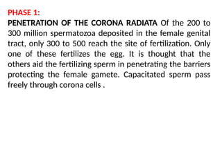 PHASE 1:
PENETRATION OF THE CORONA RADIATA Of the 200 to
300 million spermatozoa deposited in the female genital
tract, only 300 to 500 reach the site of fertilization. Only
one of these fertilizes the egg. It is thought that the
others aid the fertilizing sperm in penetrating the barriers
protecting the female gamete. Capacitated sperm pass
freely through corona cells .
 