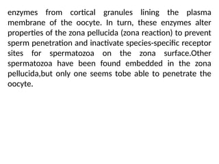 enzymes from cortical granules lining the plasma
membrane of the oocyte. In turn, these enzymes alter
properties of the zona pellucida (zona reaction) to prevent
sperm penetration and inactivate species-speciﬁc receptor
sites for spermatozoa on the zona surface.Other
spermatozoa have been found embedded in the zona
pellucida,but only one seems tobe able to penetrate the
oocyte.
 