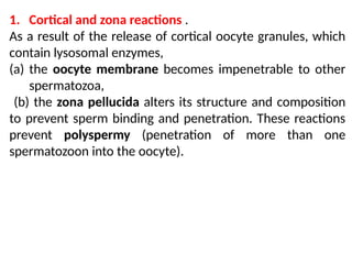 1. Cortical and zona reactions .
As a result of the release of cortical oocyte granules, which
contain lysosomal enzymes,
(a) the oocyte membrane becomes impenetrable to other
spermatozoa,
(b) the zona pellucida alters its structure and composition
to prevent sperm binding and penetration. These reactions
prevent polyspermy (penetration of more than one
spermatozoon into the oocyte).
 