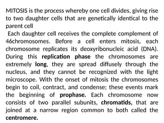 MITOSIS is the process whereby one cell divides, giving rise
to two daughter cells that are genetically identical to the
parent cell
Each daughter cell receives the complete complement of
46chromosomes. Before a cell enters mitosis, each
chromosome replicates its deoxyribonucleic acid (DNA).
During this replication phase the chromosomes are
extremely long, they are spread diffusely through the
nucleus, and they cannot be recognized with the light
microscope. With the onset of mitosis the chromosomes
begin to coil, contract, and condense; these events mark
the beginning of prophase. Each chromosome now
consists of two parallel subunits, chromatids, that are
joined at a narrow region common to both called the
centromere.
 