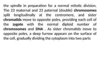 the spindle in preparation for a normal mitotic division.
The 23 maternal and 23 paternal (double) chromosomes
split longitudinally at the centromere, and sister
chromatids move to opposite poles, providing each cell of
the zygote with the normal diploid number of
chromosomes and DNA . As sister chromatids move to
opposite poles, a deep furrow appears on the surface of
the cell, gradually dividing the cytoplasm into two parts
 