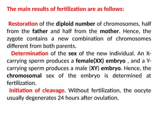 The main results of fertilization are as follows:
Restoration of the diploid number of chromosomes, half
from the father and half from the mother. Hence, the
zygote contains a new combination of chromosomes
different from both parents.
Determination of the sex of the new individual. An X-
carrying sperm produces a female(XX) embryo , and a Y-
carrying sperm produces a male (XY) embryo. Hence, the
chromosomal sex of the embryo is determined at
fertilization.
Initiation of cleavage. Without fertilization, the oocyte
usually degenerates 24 hours after ovulation.
 