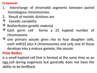 Crossover
1. Interchange of chromatid segments between paired
homologous chromosomes .
2. Result of meiotic divisions are
 Genetic variability
 Redistributes genetic material
 Each germ cell forms a 23 haploid number of
chromosome
 one primary oocyte gives rise to four daughter cells,
each with22 plus X chromosomes and only one of these
develops into a mature gamete, the oocyte
Polar Bodies
is a small haploid cell that is formed at the same time as an
egg cell during oogenesis but generally does not have the
ability to be fertilized.
 
