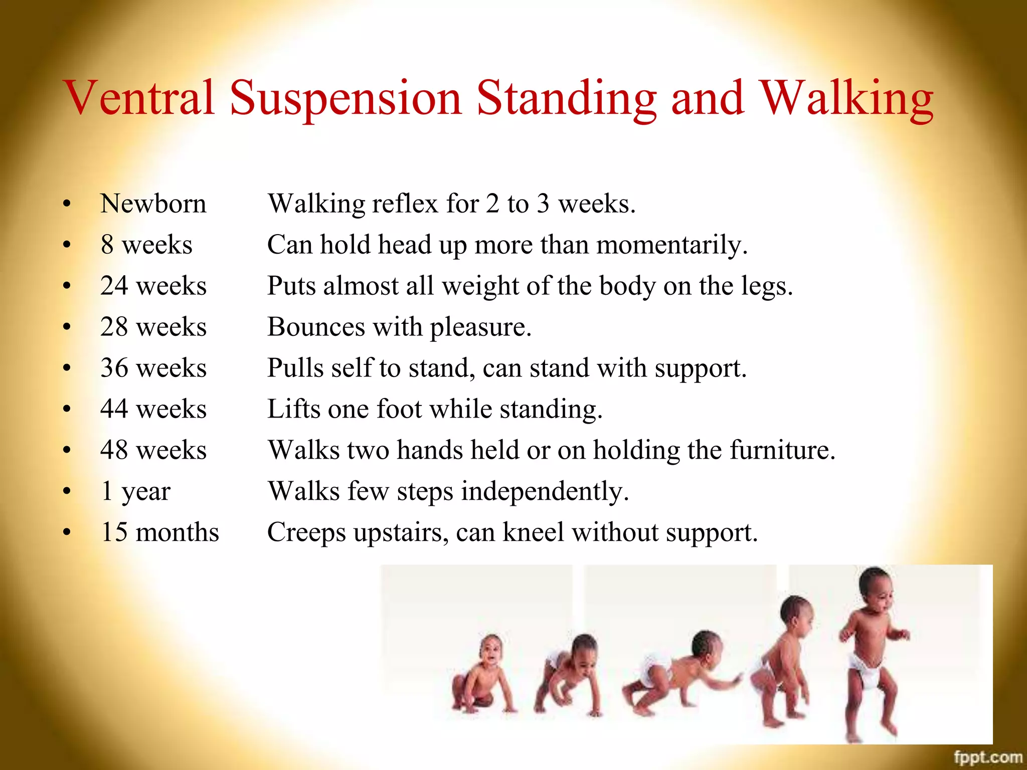 Ventral Suspension Standing and Walking
•
•
•
•
•
•
•
•
•

Newborn
8 weeks
24 weeks
28 weeks
36 weeks
44 weeks
48 weeks
1 year
15 months

Walking reflex for 2 to 3 weeks.
Can hold head up more than momentarily.
Puts almost all weight of the body on the legs.
Bounces with pleasure.
Pulls self to stand, can stand with support.
Lifts one foot while standing.
Walks two hands held or on holding the furniture.
Walks few steps independently.
Creeps upstairs, can kneel without support.

 