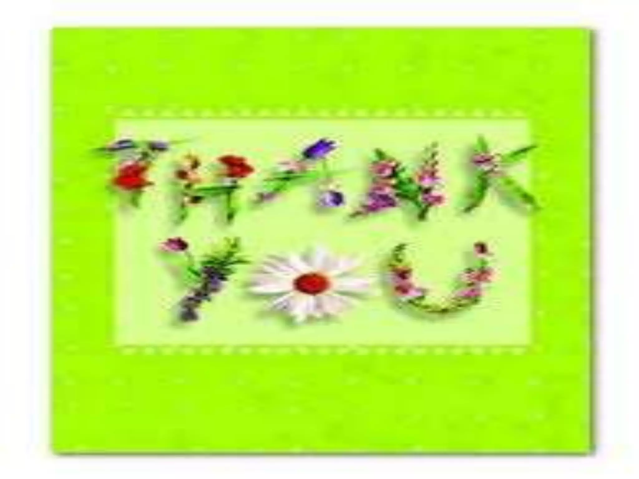 Developmental assessment