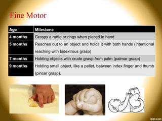 Fine Motor
Age

Milestone

4 months

Grasps a rattle or rings when placed in hand

5 months

Reaches out to an object and holds it with both hands (intentional
reaching with bidextrous grasp)

7 months

Holding objects with crude grasp from palm (palmar grasp)

9 months

Holding small object, like a pellet, between index finger and thumb
(pincer grasp).

 