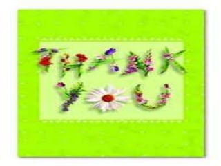 Developmental assessment