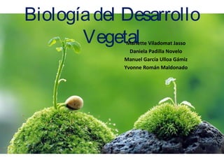 Biologíadel Desarrollo
VegetalMariette Viladomat Jasso
Daniela Padilla Novelo
Manuel García Ulloa Gámiz
Yvonne Román Maldonado
 