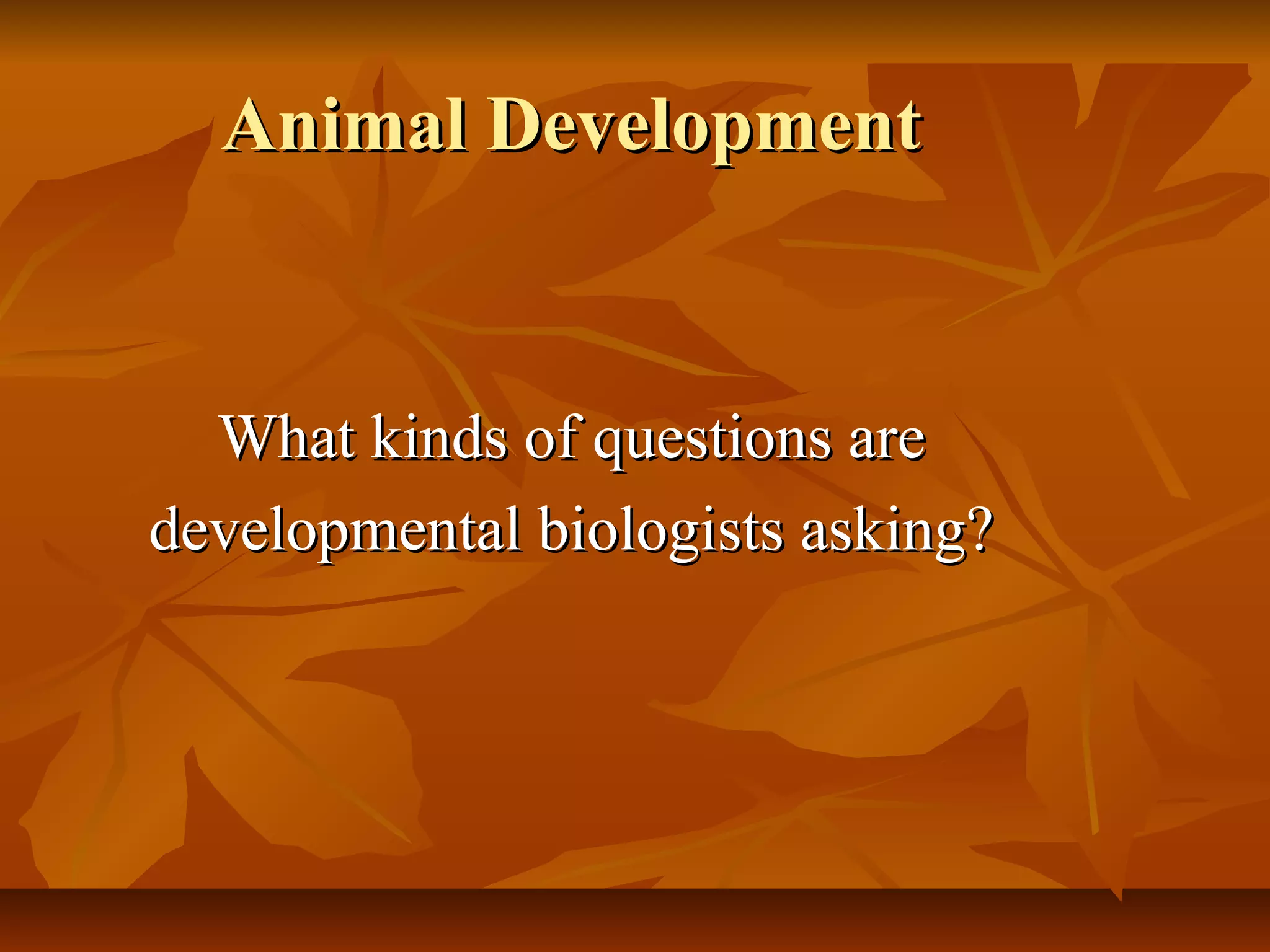 Developmental biology | PPT