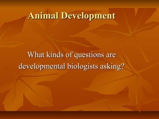 Animal DevelopmentAnimal Development
What kinds of questions areWhat kinds of questions are
developmental biologists asking?developmental biologists asking?
 