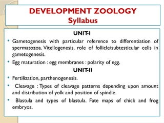 DEVELOPMENT ZOOLOGY
Syllabus
UNIT
-I
 Gametogenesis with particular reference to differentiation of
spermatozoa. Vitellogenesis, role of follicle/subtesticular cells in
gametogenesis.
 Egg maturation : egg membranes : polarity of egg.
UNIT
-II
 Fertilization, parthenogenesis.
 Cleavage : Types of cleavage patterns depending upon amount
and distribution of yolk and position of spindle.
 Blastula and types of blastula. Fate maps of chick and frog
embryos.
 