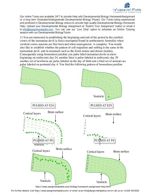 download the isis papers: the