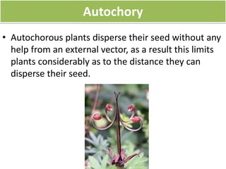 seed develop ment | PPTX