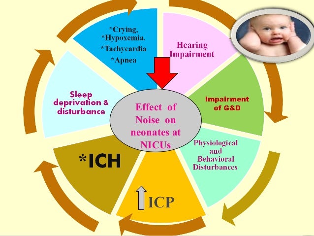benefits for kangaroo mother care health and social care essay Kangaroo mother care changed the standard of care for low birth weight researchers demonstrated numerous additional health benefits. benefits for kangaroo mother care health and social care essay Kangaroo mother care changed the standard of care for low birth weight researchers demonstrated numerous additional health benefits.